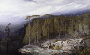 Der Wald von Valdoniello, Korsika, 1869